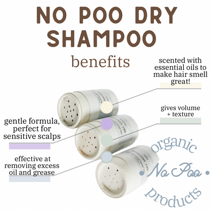No Poo Dry Shampoo